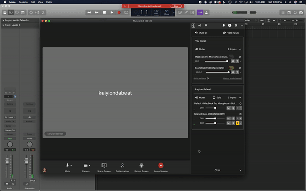 pin toolbar.gif